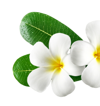 Marina Thai Spa: Best Spa In Navi Mumbai