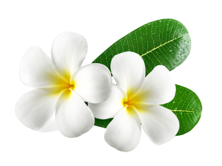 Marina Thai Spa: Best Spa In Navi Mumbai